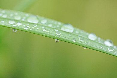 Steam Deck产量将迅速增长 下个月能达到数十万台